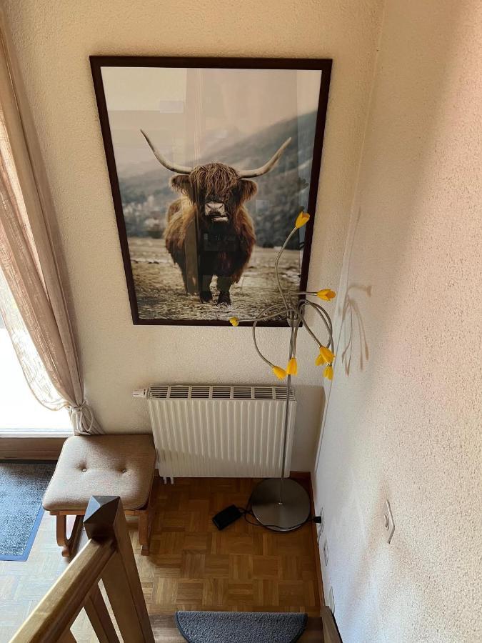 Chalet Les Rhodos Appartement Le Yeti ليه كروسيت المظهر الخارجي الصورة